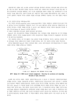 [사회복지행정] 리더십의 특성 파악과 사회복지사의 직무만족-5