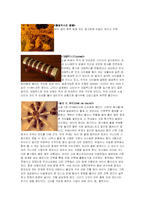 다빈치코드 분석-5