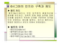 [품질경영(산업공학,경영학)] 6시그마경영-12