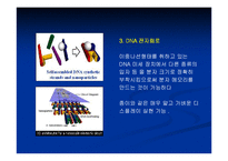 [나노공학] 나노기술-6