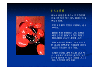 [나노공학] 나노기술-9