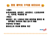 [경영 재무] 기업분석자료 광동제약-4
