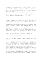 [문학 비평] 돈 끼호테의 재해석-7