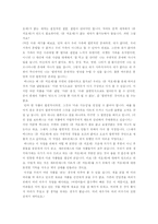 [문학 비평] 돈 끼호테의 재해석-9