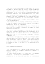 [문학 비평] 돈 끼호테의 재해석-12
