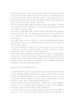 [문학 비평] 돈 끼호테의 재해석-16