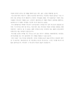 [문학 비평] 돈 끼호테의 재해석-20