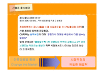 [마케팅조사] OB맥주의 맥주 신제품 출시-3