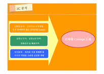 [마케팅조사] OB맥주의 맥주 신제품 출시-5