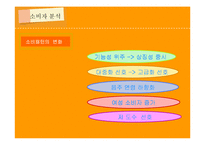 [마케팅조사] OB맥주의 맥주 신제품 출시-6