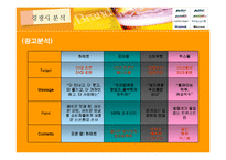 [마케팅조사] OB맥주의 맥주 신제품 출시-8