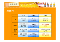 [마케팅조사] OB맥주의 맥주 신제품 출시-9
