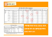 [마케팅조사] OB맥주의 맥주 신제품 출시-16