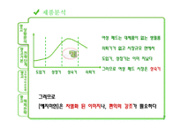 [광고기획서] 예지미인 광고커뮤니케이션전략-9