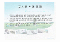 [미시경영조직] 포스코 -동기부여-5
