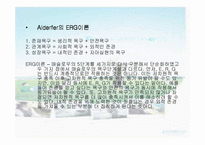 [미시경영조직] 포스코 -동기부여-17