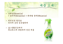 [매체기획서] LG생활건강 브레슬(Brestle) 매체기획서-4