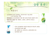 [매체기획서] LG생활건강 브레슬(Brestle) 매체기획서-6