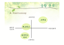 [매체기획서] LG생활건강 브레슬(Brestle) 매체기획서-10