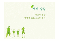 [매체기획서] LG생활건강 브레슬(Brestle) 매체기획서-11