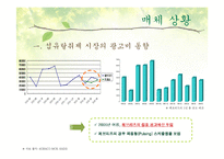 [매체기획서] LG생활건강 브레슬(Brestle) 매체기획서-12