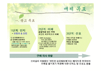 [매체기획서] LG생활건강 브레슬(Brestle) 매체기획서-15