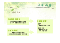 [매체기획서] LG생활건강 브레슬(Brestle) 매체기획서-17