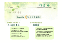 [매체기획서] LG생활건강 브레슬(Brestle) 매체기획서-19