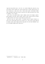 [국제경영] 레인콤과 코원시스템 더블 다이아몬드 모델-3