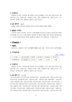 [국제경영] 레인콤과 코원시스템 더블 다이아몬드 모델-11