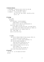 [국제경영] 레인콤과 코원시스템 더블 다이아몬드 모델-17