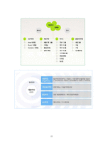[국제경영] 레인콤과 코원시스템 더블 다이아몬드 모델-18