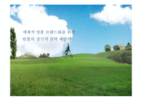 [브랜드마케팅] 세계적 명품 브랜드화를 위한 빈폴의 장기적 전략 제안서-1