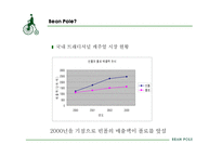 [브랜드마케팅] 세계적 명품 브랜드화를 위한 빈폴의 장기적 전략 제안서-5