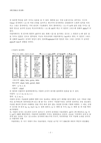아시아 제 민족의 문자 체계-2
