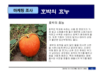 [마케팅조사] 웰빙음료의 새로운 방향-19