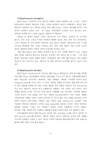 [글로벌마케팅] 레인콤 아이리버 국제마케팅사례-3