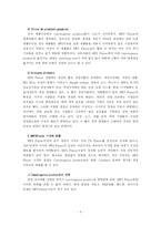 [글로벌마케팅] 레인콤 아이리버 국제마케팅사례-4