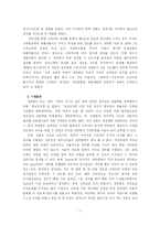 [글로벌마케팅] 레인콤 아이리버 국제마케팅사례-7