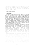 [글로벌마케팅] 레인콤 아이리버 국제마케팅사례-8