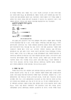 [글로벌마케팅] 레인콤 아이리버 국제마케팅사례-11