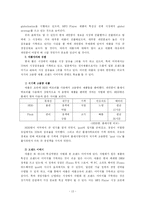 [글로벌마케팅] 레인콤 아이리버 국제마케팅사례-13