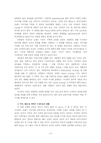 [글로벌마케팅] 레인콤 아이리버 국제마케팅사례-15