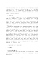 [글로벌마케팅] 레인콤 아이리버 국제마케팅사례-16