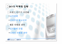 [마케팅] sky 스카이 마케팅전략 분석-11