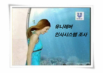 [인사관리] 유니레버 인사시스템 조사-1