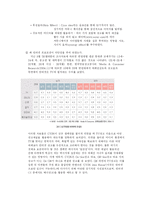 [마케팅] LG CYON 싸이언 마케팅-9