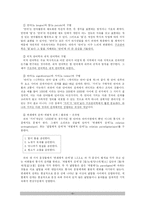 [인류학사] 구조주의, 구조 인류학의 이해-5