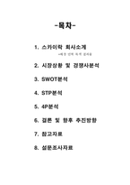 [마케팅 스카이락 마케팅분석-1
