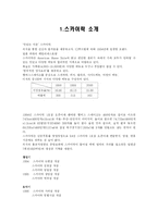 [마케팅 스카이락 마케팅분석-2